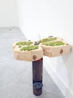 https://www.secrettree.net/files/gimgs/th-33_DSC01145.jpg